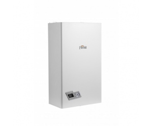 Настенный газовый котел Ferroli Divabel F24
